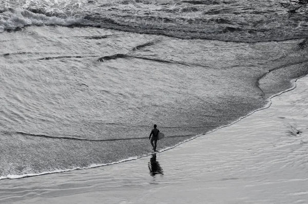 뉴질랜드에서 바다로 들어가면서 파도타기 파도타기 선수의 그레이시 스케일 — 스톡 사진
