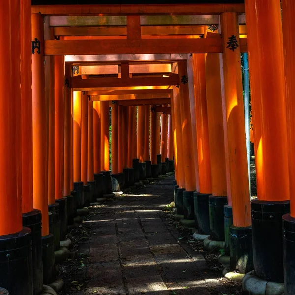 Gyönyörű Ösvény Fushimi Inari Szentélynél Több Ezer Torii Kapuval Japán — Stock Fotó