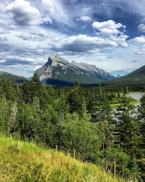 Вертикальная Картина Горы Рундл Окружении Зелени Облачным Небом Канаде — стоковое фото