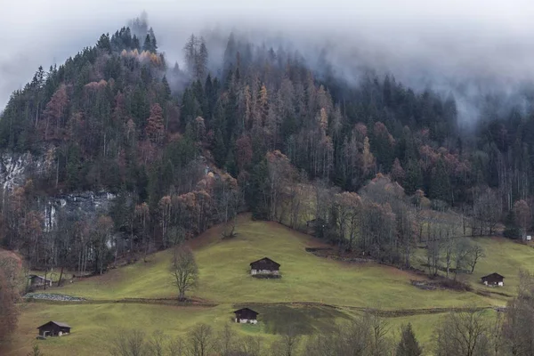 Domy Roztroušené Horách Chladném Zimním Dni Kdy Mlha Zaplavuje Les — Stock fotografie