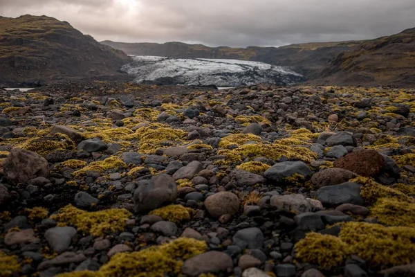 冰岛Solheimajokull冰川上覆盖着石头和苔藓的地面 — 图库照片