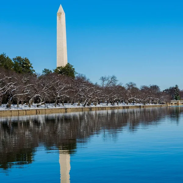 Uma Bela Vista Obelisco Parque Presidencial Washington Eua — Fotografia de Stock