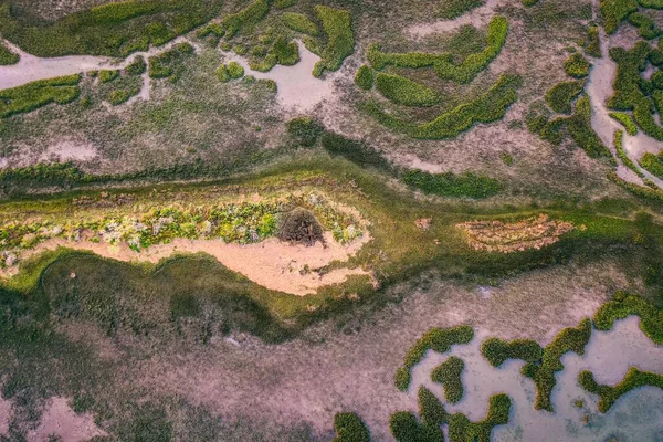 Een Overhead Shot Van Groene Wetlands Langs Atlantische Kust — Stockfoto