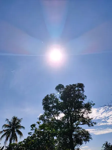 Μια Κάθετη Λήψη Ενός Δέντρου Τον Ήλιο Λάμπει Στον Γαλάζιο — Φωτογραφία Αρχείου