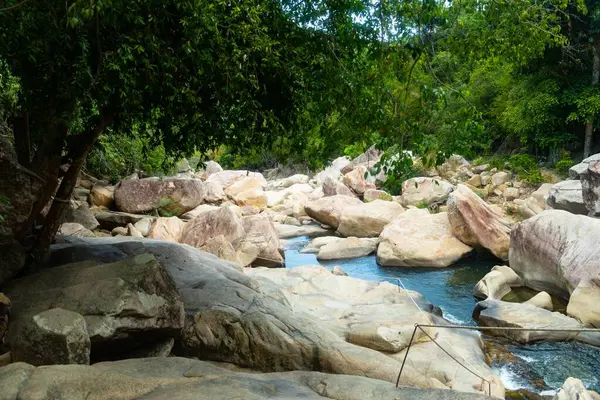 Water Stream Middle Rocks Surrounded Trees Vietnam — Stock Photo, Image