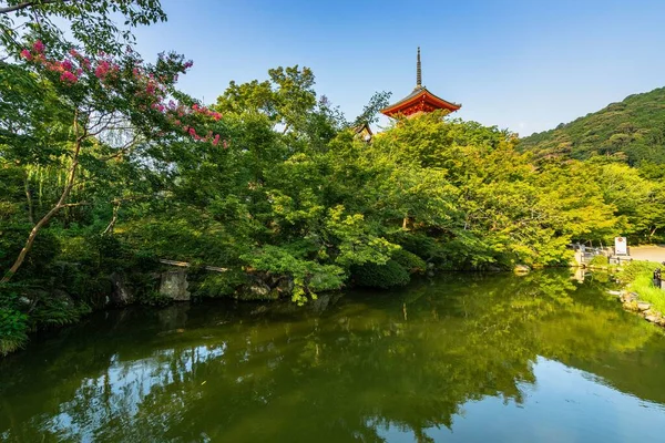 Низкоугольный Снимок Храма Киёмидзудера Маленьким Прудом Захваченным Киото Япония — стоковое фото