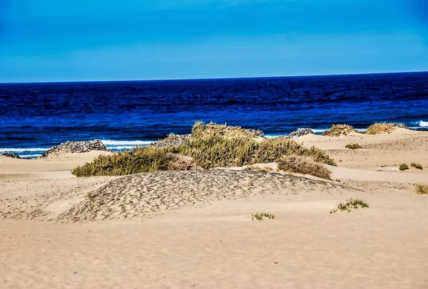 Una Vista Mozzafiato Sulla Spiaggia Sabbia Dal Bellissimo Oceano Calmo — Foto Stock