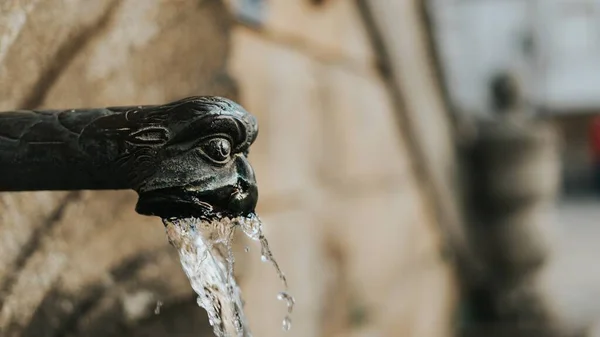 Egy Közeli Felvétel Vízről Ahogy Átfolyik Fém Csapon Egy Állat — Stock Fotó