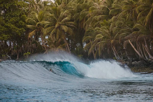 Belo Tiro Onda Ruptura Com Árvores Tropicais Uma Praia Fundo — Fotografia de Stock