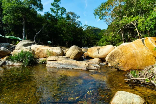 Vacker Bild Damm Nära Stenar Mitten Träd Blå Himmel Vietnam — Stockfoto