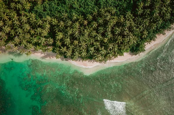 Het Betoverende Uitzicht Kustlijn Met Wit Zand Turquoise Helder Water — Stockfoto