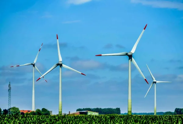 Wide Angle Shot Several Wind Turbines Next Each Other — Stock Photo, Image