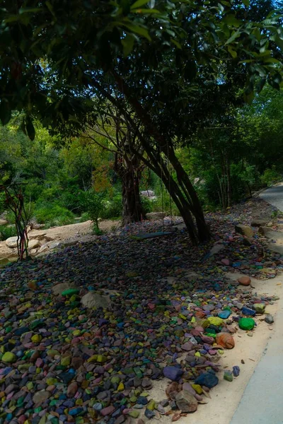 越南树木附近的彩色岩石垂直拍摄 — 图库照片