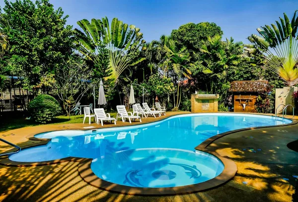 在老挝 一个被热带树木环绕的小游泳池的美丽景色 — 图库照片