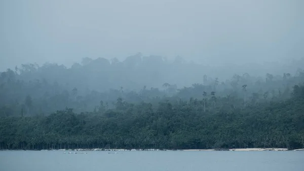Zachwycający Widok Tropikalnych Drzew Brzegu Spokojnego Jeziora Mglisty Dzień Indonezji — Zdjęcie stockowe
