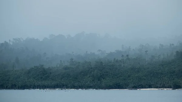 Vue Fascinante Sur Les Arbres Tropicaux Bord Lac Calme Par — Photo