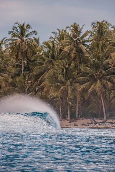 Belo Tiro Onda Ruptura Com Árvores Tropicais Uma Praia Fundo — Fotografia de Stock