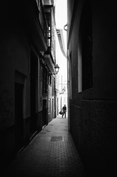 Eine Vertikale Graustufenaufnahme Eines Schmalen Weges Inmitten Von Gebäuden Palma — Stockfoto