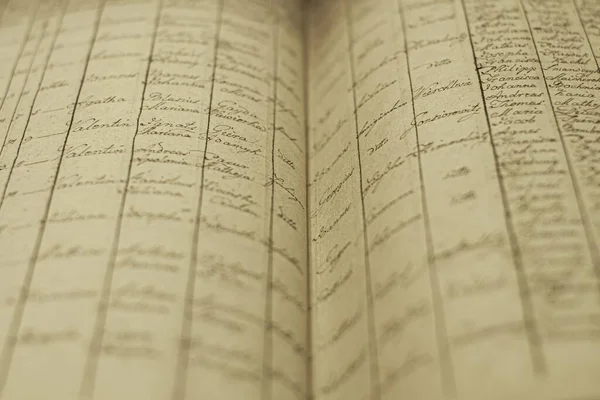 A soft focus of an old book of local records with list of residents\' names and information