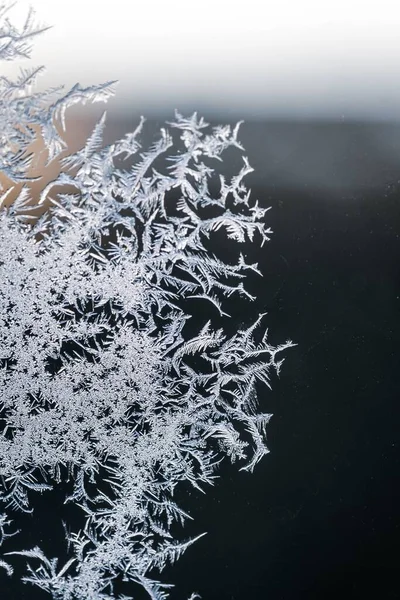 Eine Vertikale Nahaufnahme Einer Schneeflocke Auf Einem Glas Vom Frost — Stockfoto