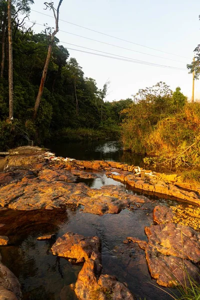 Chorro Vertical Agua Medio Rocas Rodeadas Árboles Dalat — Foto de Stock