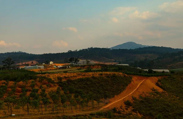 Una Colina Cubierta Árboles Con Edificios Lejos Dalat — Foto de Stock