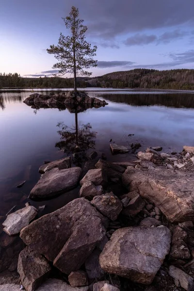 바위들 외따로 떨어져 나무의 수직적 경치와 호수를 반사하는 — 스톡 사진