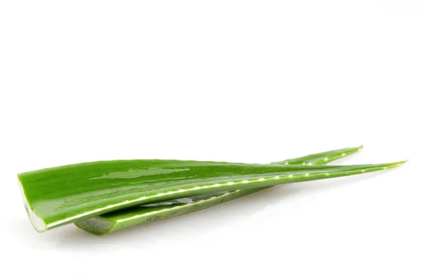 Aloe Vera Leaves Isolated White Background — Stock Photo, Image