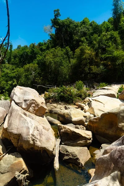 Вертикальний Знімок Води Посеред Скель Поблизу Дерев Єтнамі — стокове фото