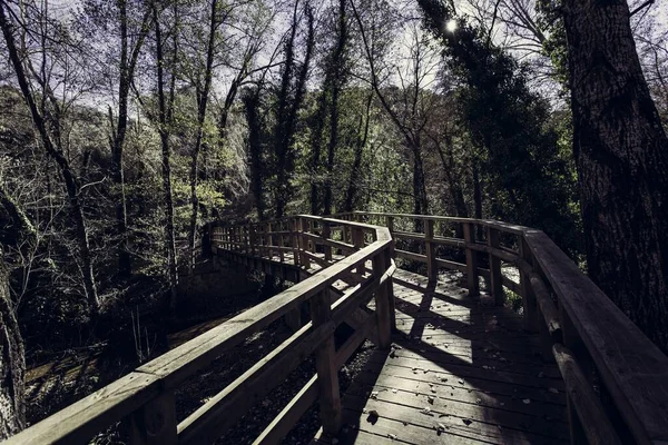 Una Barandilla Madera Puente Parque Durante Día — Foto de Stock