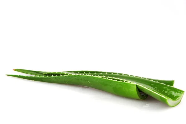 Aloe Vera Leaves Isolated White Background — Stock Photo, Image