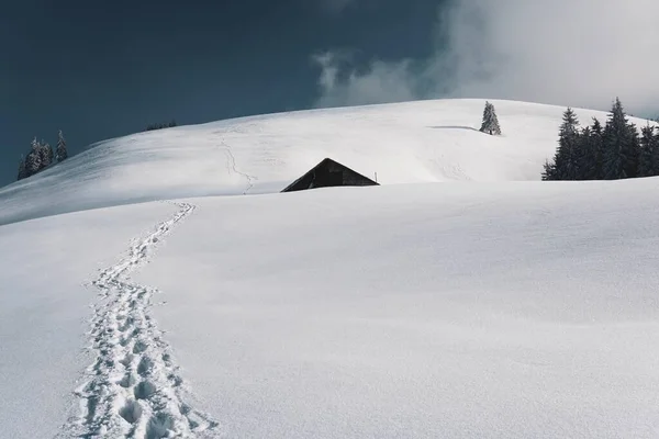 Hermoso Plano Paisaje Nieve Con Pistas Senderismo Nieve Una Acogedora —  Fotos de Stock