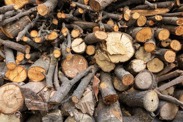 Eine Nahaufnahme Von Getrockneten Baumstämmen Schön Geordnet Einem Stapel Für — Stockfoto