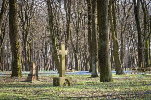 Shot Graveyard Several Gravestones Numerous Trees Growing — Stock Photo, Image