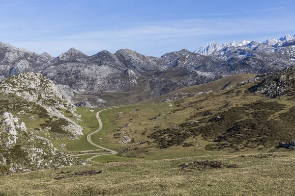 Landschaft Einiger Berge Der Picos Europa Blauer Himmel Grünes Gras — Stockfoto