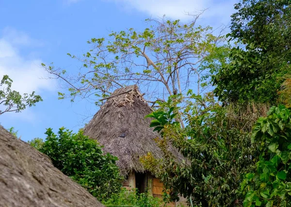 Een Kleine Rieten Hut Omringd Door Groen Onder Het Zonlicht — Stockfoto