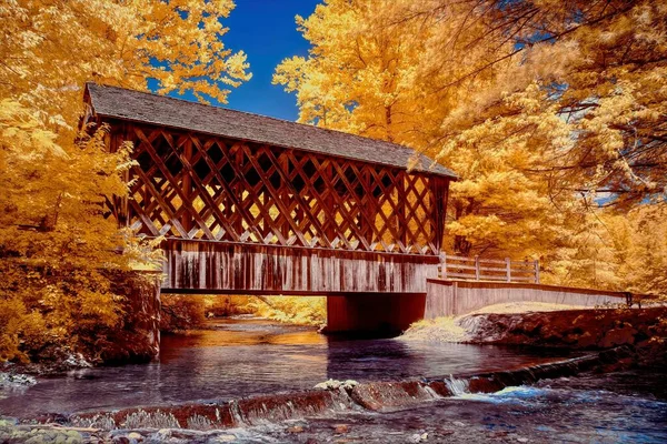 Eine Schöne Holzbrücke Über Den Fluss Umgeben Von Bäumen Infrarot — Stockfoto