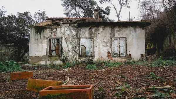 Tiro Panorâmico Uma Velha Casa Meio Destruída Meio Uma Floresta — Fotografia de Stock