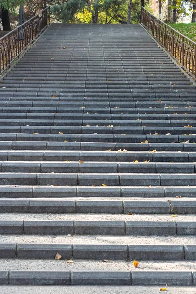 公園内のコンクリート階段の垂直閉鎖ショット — ストック写真