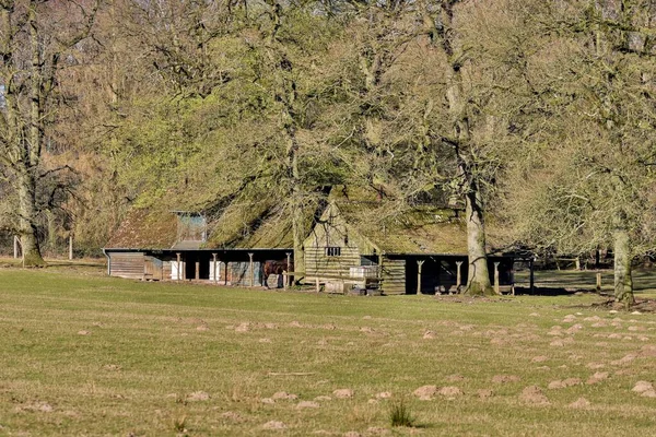 Een Brede Hoek Opname Van Een Huis Omringd Door Bomen — Stockfoto