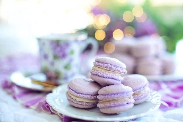 Shallow Focus Shot Delicious Macarons White Plate Blurred Background — Stock Photo, Image