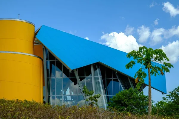 Biomuseo Rodeado Vegetación Bajo Luz Del Sol Cielo Azul Durante — Foto de Stock