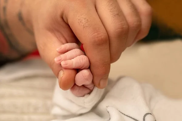Closeup Hand Man Holding Baby Hand Lights Blurry Background — Stock Photo, Image