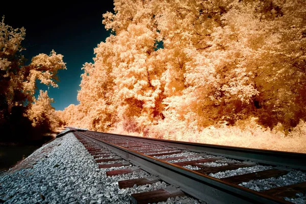 Een Lage Hoek Opname Van Een Spoorweg Gaand Door Prachtige — Stockfoto