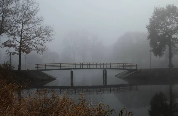 Pont Bois Dans Parc Couvert Brouillard Dense — Photo