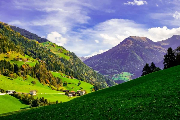 Een Landschap Van Alpen Bedekt Met Groen Onder Het Zonlicht — Stockfoto