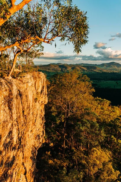 Tiro Vertical Das Belas Árvores Nas Montanhas Capturadas Queensland Austrália — Fotografia de Stock