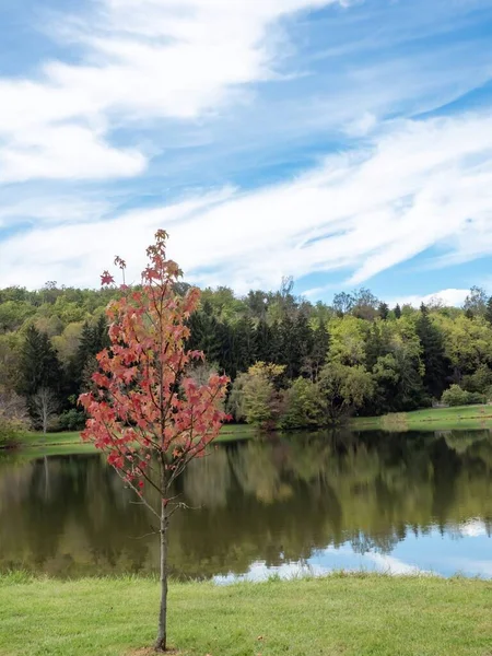 Eine Vertikale Schöne Aufnahme Eines Sees Mit Einem Feld Vordergrund — Stockfoto