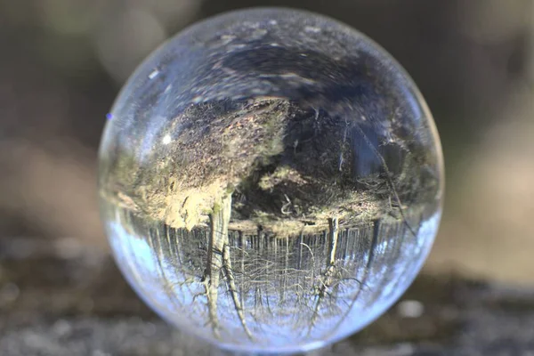 Eine Kristallkugel Spiegelt Die Landschaft Des Waldes Wider — Stockfoto