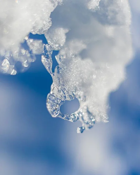 Vertikální Detailní Záběr Sněhu Rozmazaným Pozadím — Stock fotografie